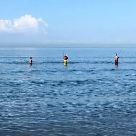 House Turi Daire Ardea